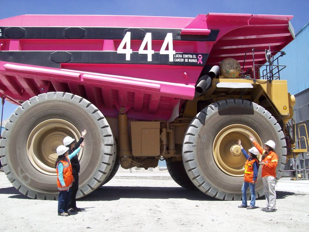 Presentando orgullosos el camión pintado en Minera alumbrera color rosa.